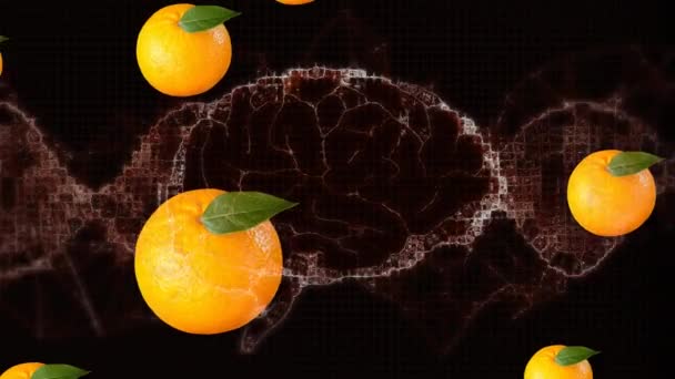 Animatie Van Digitale Hersenen Met Dna Helix Sinaasappels Tegen Zwarte — Stockvideo