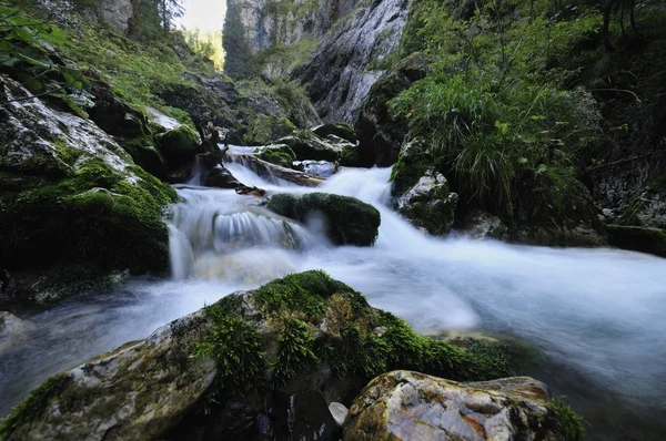 Nehir akar Stok Fotoğraf