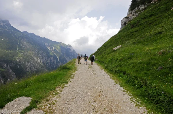 Walking along the path — Stock Photo, Image