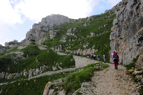 Chemin de montagne — Photo