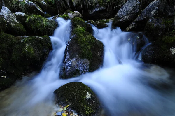 Panta rei Telifsiz Stok Fotoğraflar