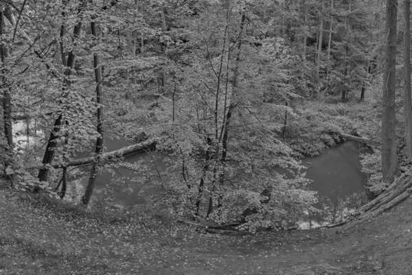 Peklo Tjeckien Oktober 2021 Höstens Robecsky Potok Flod — Stockfoto