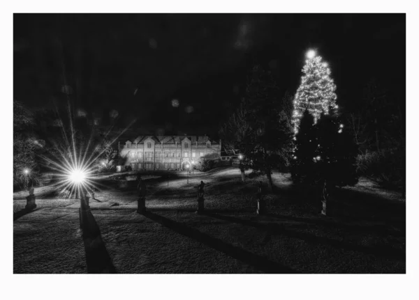 Klasterec Nad Ohri Česká Republika Prosince 2021 Vánoční Stromek Zámeckém — Stock fotografie