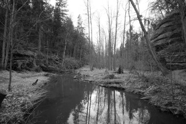 Peklo, Çek Cumhuriyeti - 26 Mart 2022: Baharda Robecsky Potok Deresi