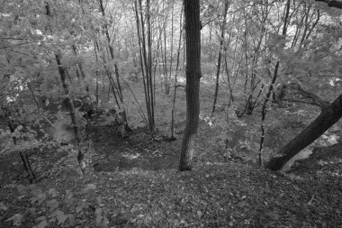 Bezrucovo Udoli, Çek Cumhuriyeti - 02 Ekim 2022: Sonbahar Vadisi 'nde Chomutovka Nehri