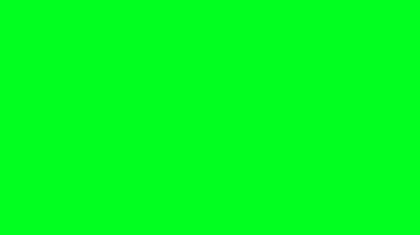 RGB Çoklu Renkli Ekran Işığı Arkaplan 4K. RGB İllüzyon Stok Görüntüsü.