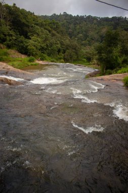 Munnar, Kerala, Hindistan 'daki güzel orman nehri..
