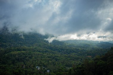 Güzel Western Ghat dağ manzarası ve geçen bulutlar. Munnar, Kerala, Hindistan