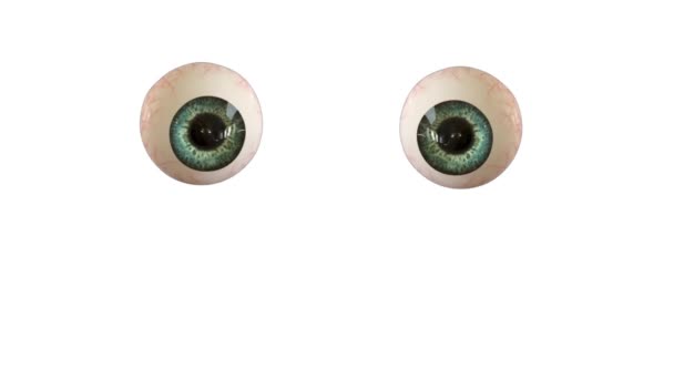 Funny Animation Two Eye Balls Reactions Cartoon Eyes Animation White — Stock Video