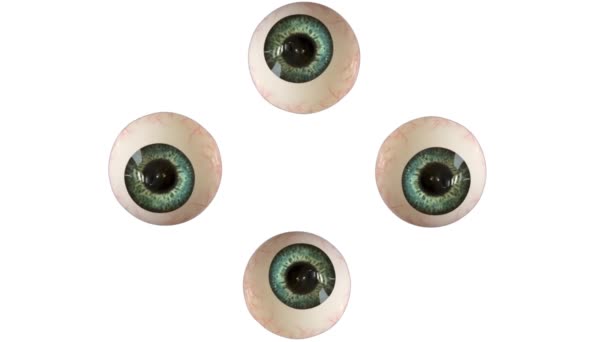 Funny Animation Four Eye Balls Reactions Cartoon Eyes Animation White — Stock videók