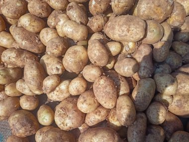 Hint sokak pazarında çiğ patates satışı. Alıcıya patates satan adam..