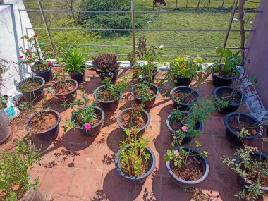 Çiçekli teras bahçesi..