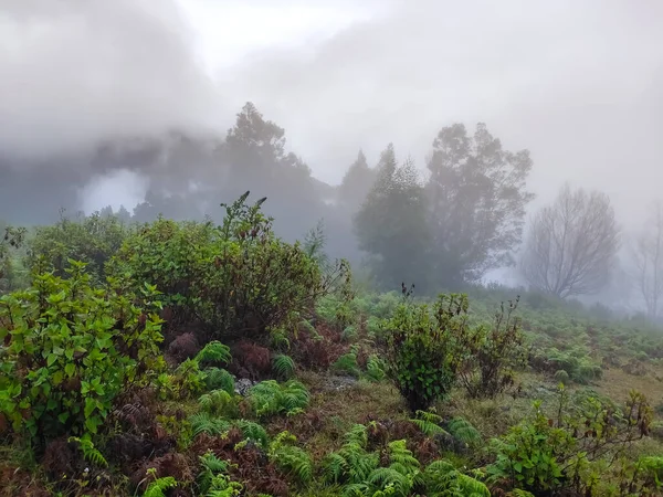 Schöne Berge Mit Nebelnebel Und Vorüberziehenden Regenwolken — Stockfoto