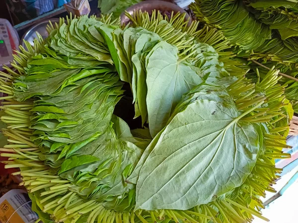 Close up of Betel leaves selling on Local Retail Shop at chennai, India.