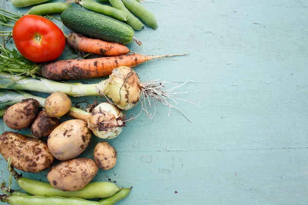 Sortimento de legumes frescos com área de texto à direita — Fotografia de Stock