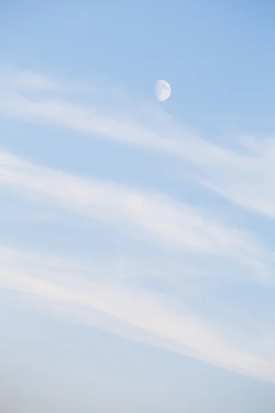 Moon and clouds Stock Image