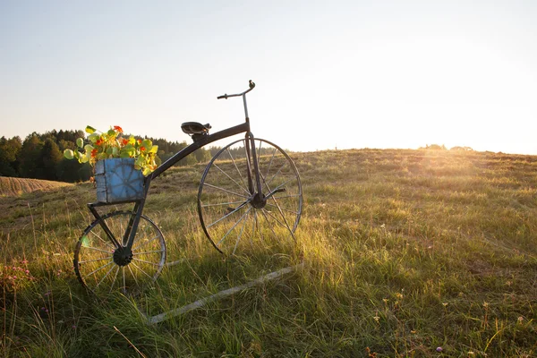 Starožitný kolo s květináč na hřišti — Stock fotografie