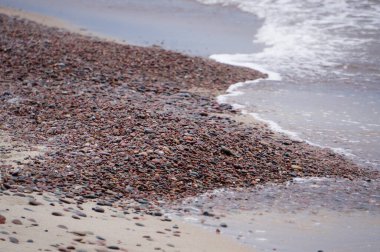 kabuk plaj dalgalar ile