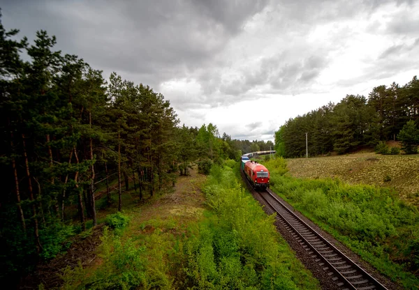 貨物列車 貨物コンテナによる鉄道ワゴンの輸送 リトアニア鉄道 — ストック写真