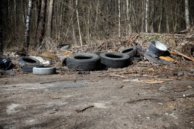 çevre kirliliği - çöplüğü orman
