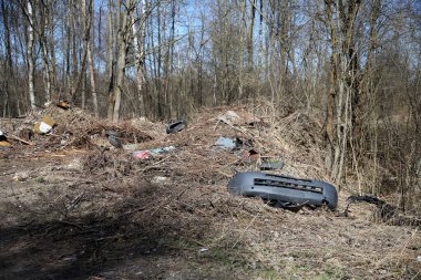 çevre kirliliği - çöplüğü orman