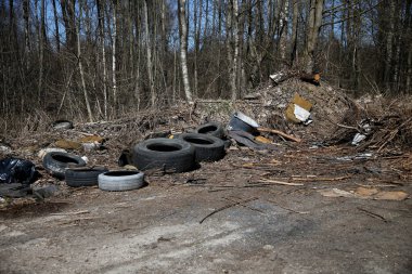 çevre kirliliği - çöplüğü orman