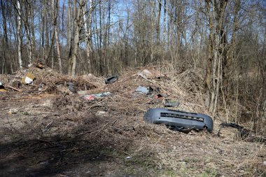 çevre kirliliği - çöplüğü orman