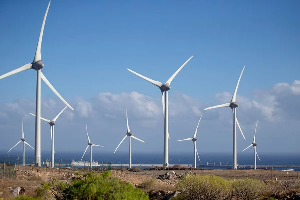 Wind turbine at the Southern part of Tenerife in the Spanish Canary Islands