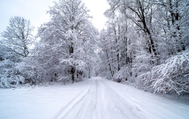 Kış yol taze karla kaplı