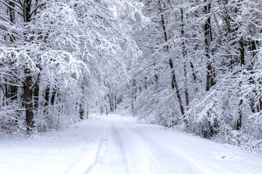 Kış yol taze karla kaplı