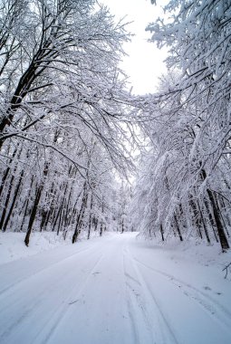 Kış yol taze karla kaplı