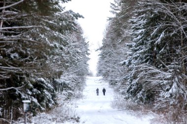 Kış yolu taze karla kaplı, Litvanya