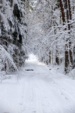 Kış yolu taze karla kaplı, Litvanya