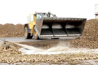 Kedainiai şeker fabrikası. Nordic Sugar 19 09 2016