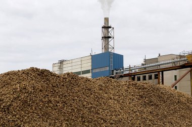 Kedainiai şeker fabrikası. Nordic Sugar 19 09 2016