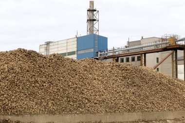 Kedainiai şeker fabrikası. Nordic Sugar 19 09 2016