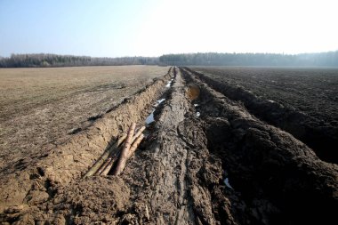 Islak zeminde traktör izleri var. Hasarlı tarlalar çiftçilerin ektiği