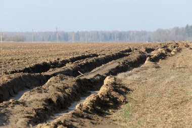 Islak zeminde traktör izleri var. Hasarlı tarlalar çiftçilerin ektiği