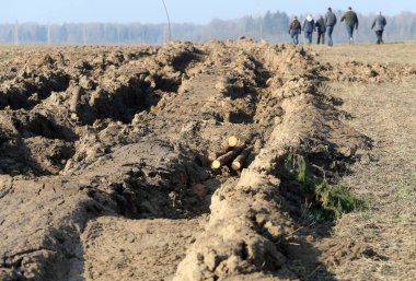 Islak zeminde traktör izleri var. Hasarlı tarlalar çiftçilerin ektiği
