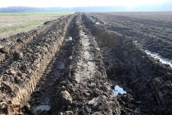 Tractor tracks on wet ground. Damaged fields cultivated by farmers