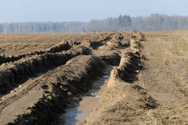 Tracce Trattore Terreno Bagnato Campi Danneggiati Coltivati Dagli Agricoltori — Foto Stock