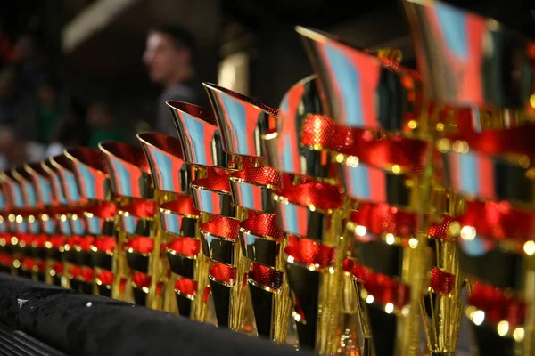 Золотой Металлический Трофей Победителя Победу Мастерство Достижения Гордость Спортивные Достижения — стоковое фото