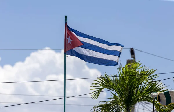 Cuban Flag Wind — Photo