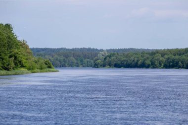 Birstonas, Litvanya 'daki Nemunas nehrinin güzel yeşil kıyısı