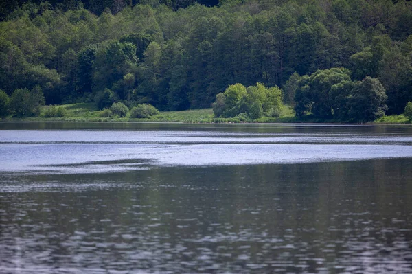 Bella Riva Verde Del Fiume Nemunas Birstonas Lituania — Foto Stock