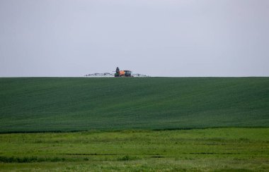 Yüksek tekerlekli traktör genç buğdayda gübre yapıyor. Etrafa saçılmış sprey kimyasalların kullanımı. Üzerinde sprey cihazı olan bir traktör. Gübre olarak kullanılıyor. 06 08 2022