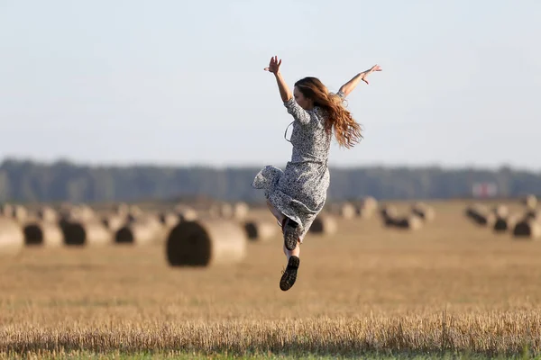 Retrato Uma Menina Campo Com Feno — Fotografia de Stock