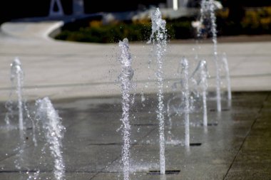 Kaunas, şehir parkına çeşme suyu damlatıyor.