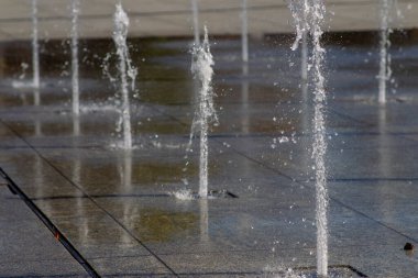 Kaunas, şehir parkına çeşme suyu damlatıyor.