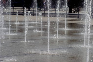 Kaunas, şehir parkına çeşme suyu damlatıyor.